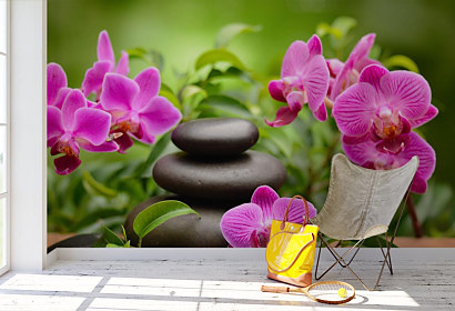 Fototapeta Zen kamene a orchidea 1176